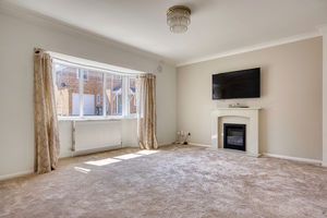 Lounge- click for photo gallery